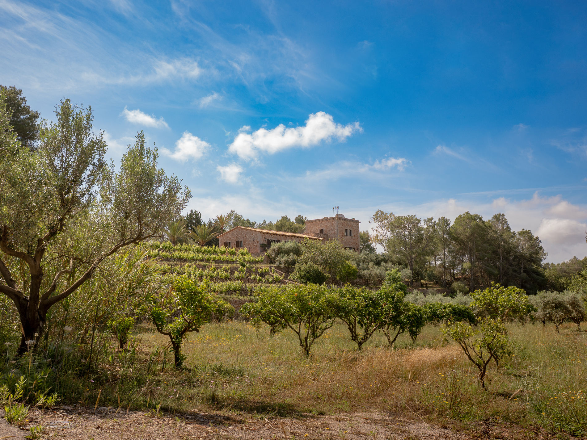 Blick über Obstbäume und Felder auf die Finca Es Castell bei S'Horta