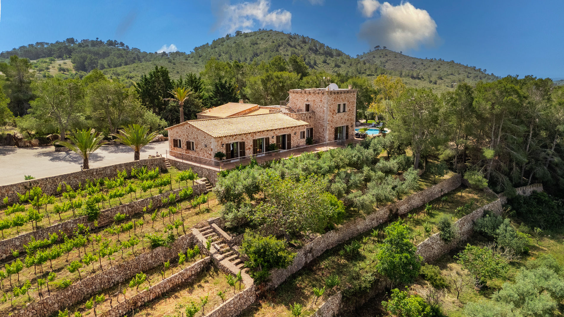 Luftaufnahme der Finca Es Castell bei S'Horta auf Mallorca mit Pool, Weinreben und Olivenbäumen
